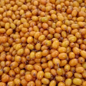 Yabani İğde Meyvesi 1000 gr - Görsel 1