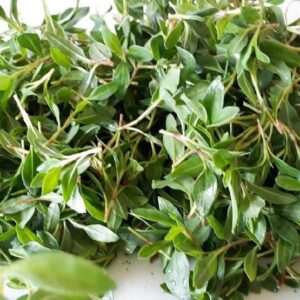 Madımak Otu Kurusu 100 gr (Sivas Doğanşar Yöresinden) - Görsel 1