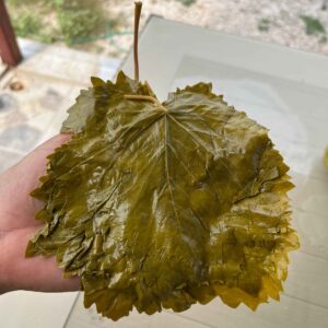 Salamura Tokat Asma Yaprağı 5 kg - Görsel 3