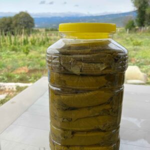 Salamura Tokat Asma Yaprağı 5 kg - Görsel 1